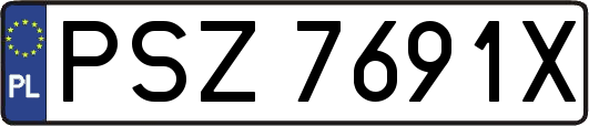 PSZ7691X