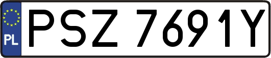 PSZ7691Y