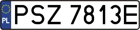 PSZ7813E