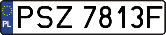 PSZ7813F