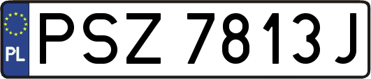 PSZ7813J