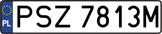 PSZ7813M