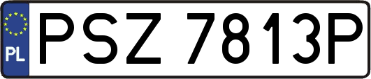 PSZ7813P