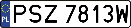 PSZ7813W