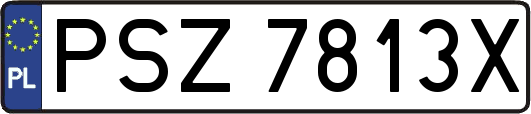 PSZ7813X