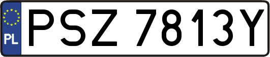 PSZ7813Y