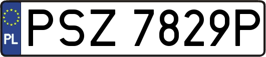 PSZ7829P