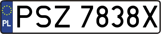 PSZ7838X