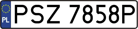 PSZ7858P