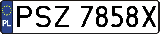 PSZ7858X
