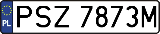 PSZ7873M