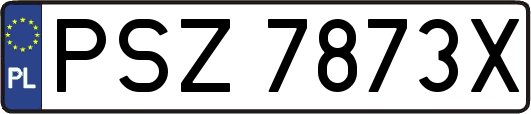 PSZ7873X