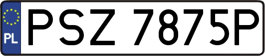 PSZ7875P