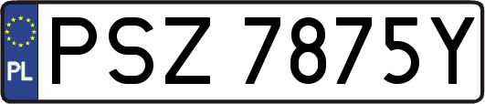 PSZ7875Y