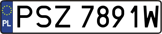 PSZ7891W