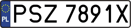 PSZ7891X