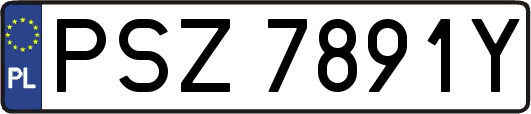 PSZ7891Y