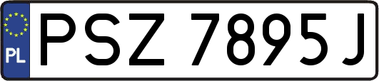 PSZ7895J