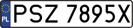 PSZ7895X