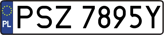 PSZ7895Y