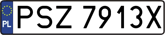 PSZ7913X