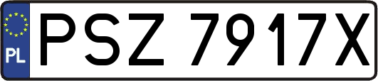 PSZ7917X