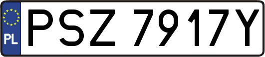 PSZ7917Y