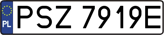 PSZ7919E