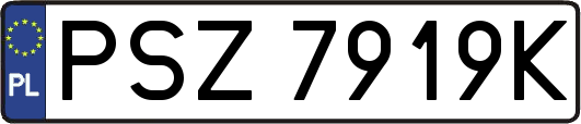 PSZ7919K