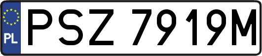 PSZ7919M