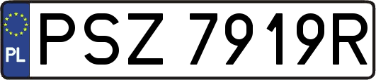 PSZ7919R