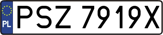PSZ7919X