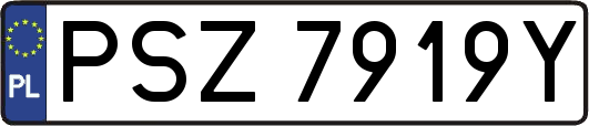 PSZ7919Y