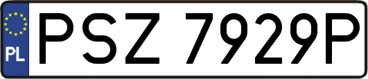 PSZ7929P