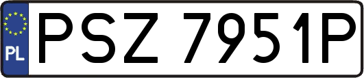PSZ7951P