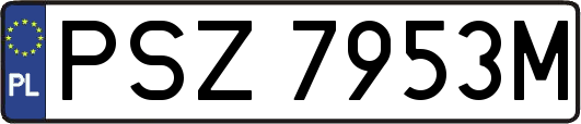 PSZ7953M