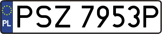 PSZ7953P