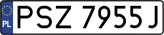 PSZ7955J