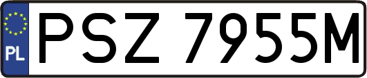 PSZ7955M