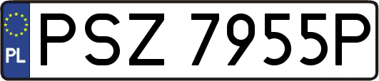 PSZ7955P