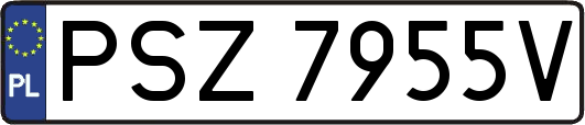 PSZ7955V