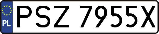PSZ7955X
