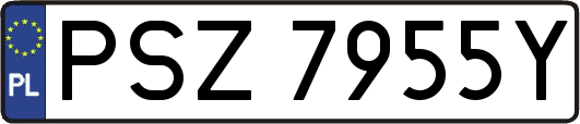 PSZ7955Y