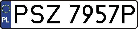 PSZ7957P