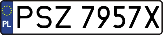 PSZ7957X