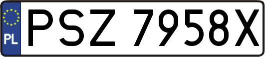 PSZ7958X