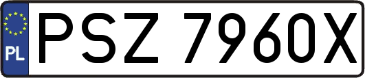 PSZ7960X