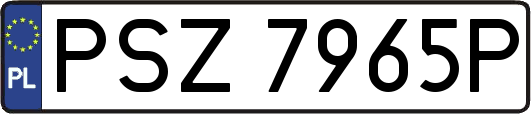 PSZ7965P