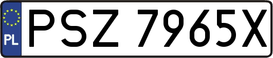 PSZ7965X