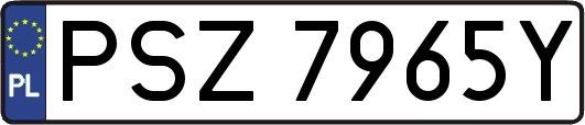 PSZ7965Y